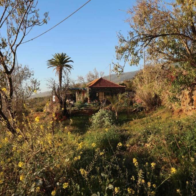 Casita En El Campo Con Vista Al Oceano Βίλα Tijarafe Εξωτερικό φωτογραφία