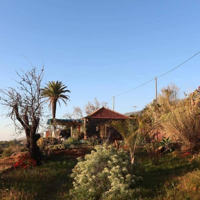 Casita En El Campo Con Vista Al Oceano Βίλα Tijarafe Εξωτερικό φωτογραφία